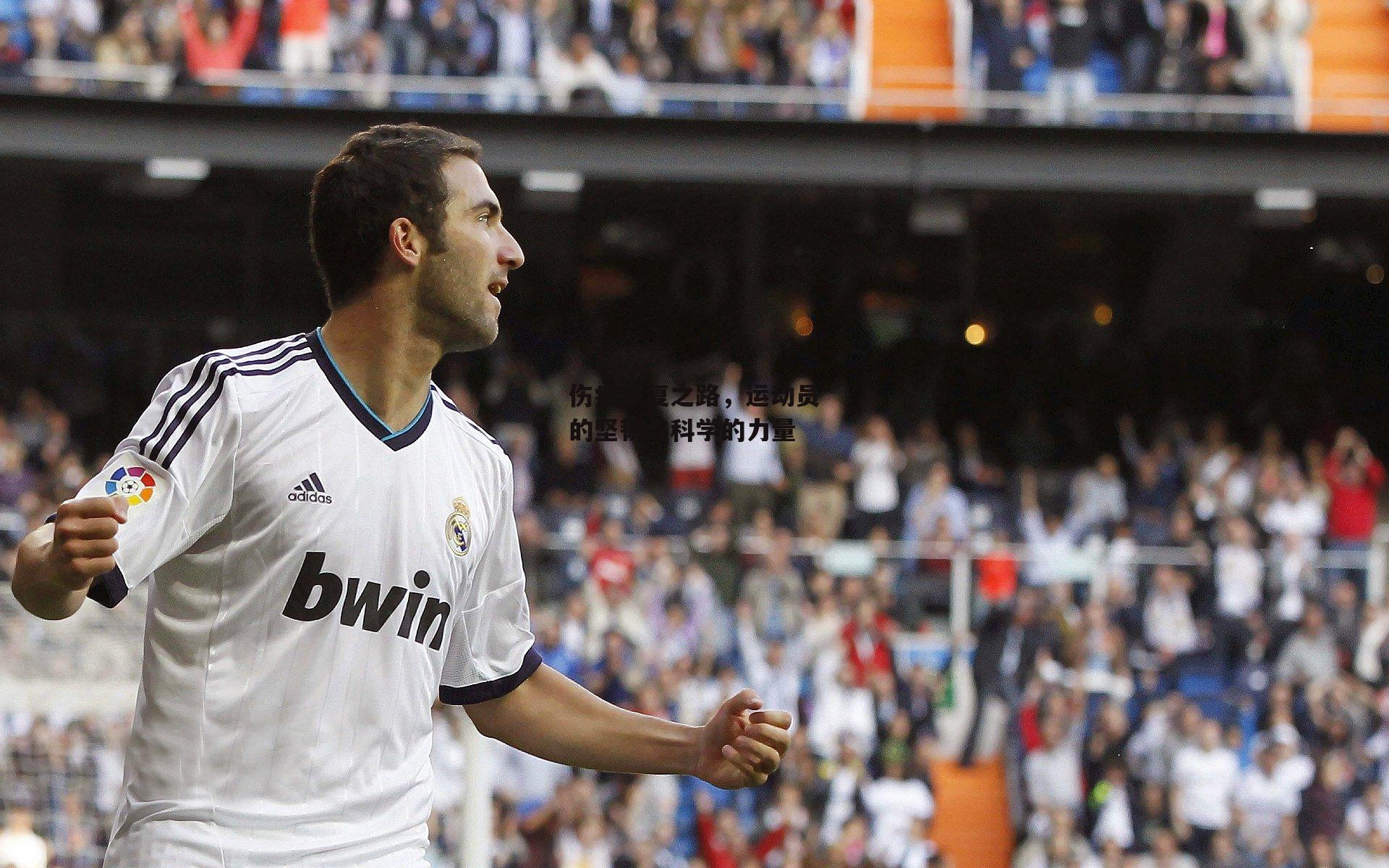 伤病康复之路,运动员的坚韧与科学的力量