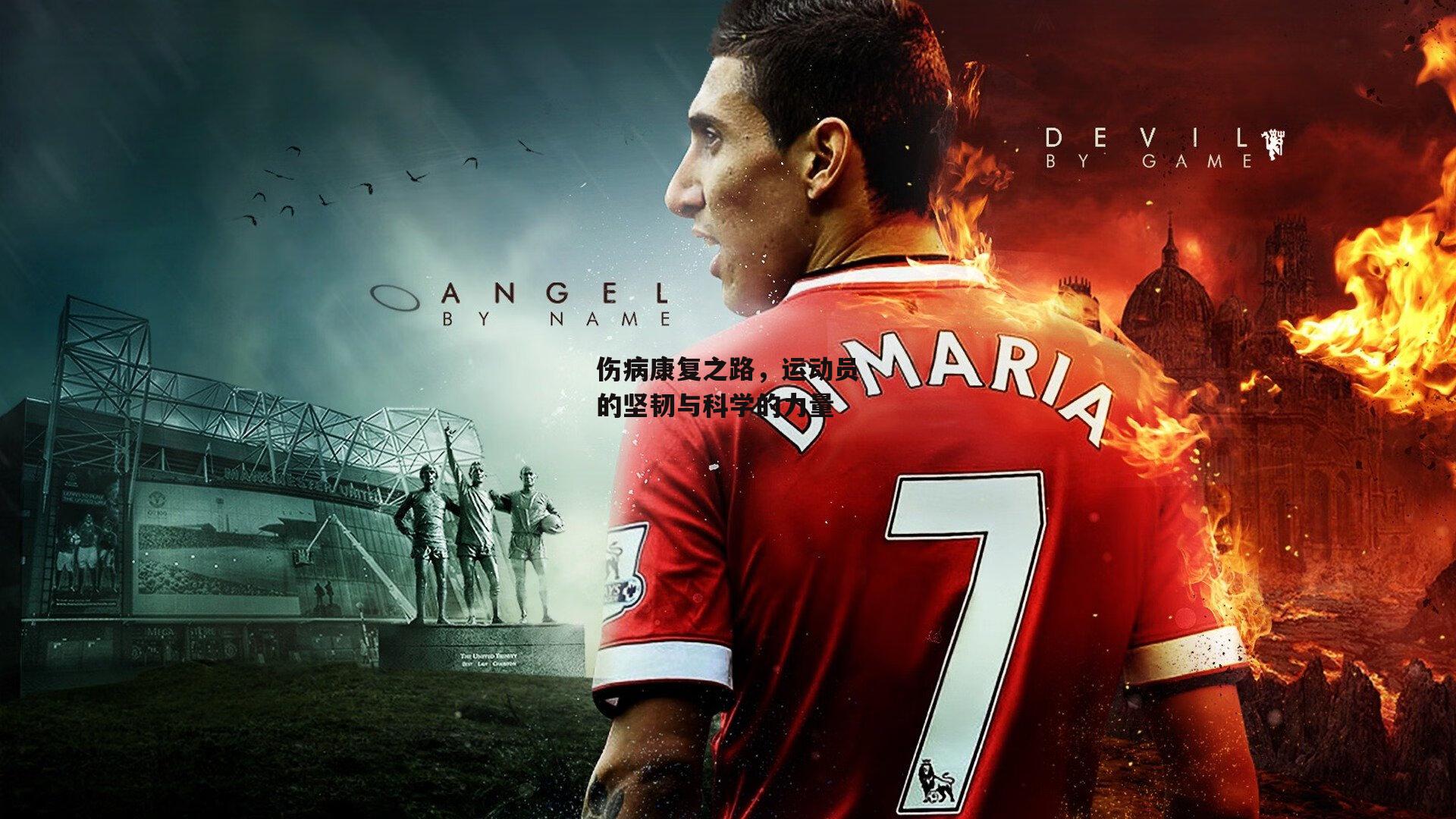 伤病康复之路,运动员的坚韧与科学的力量